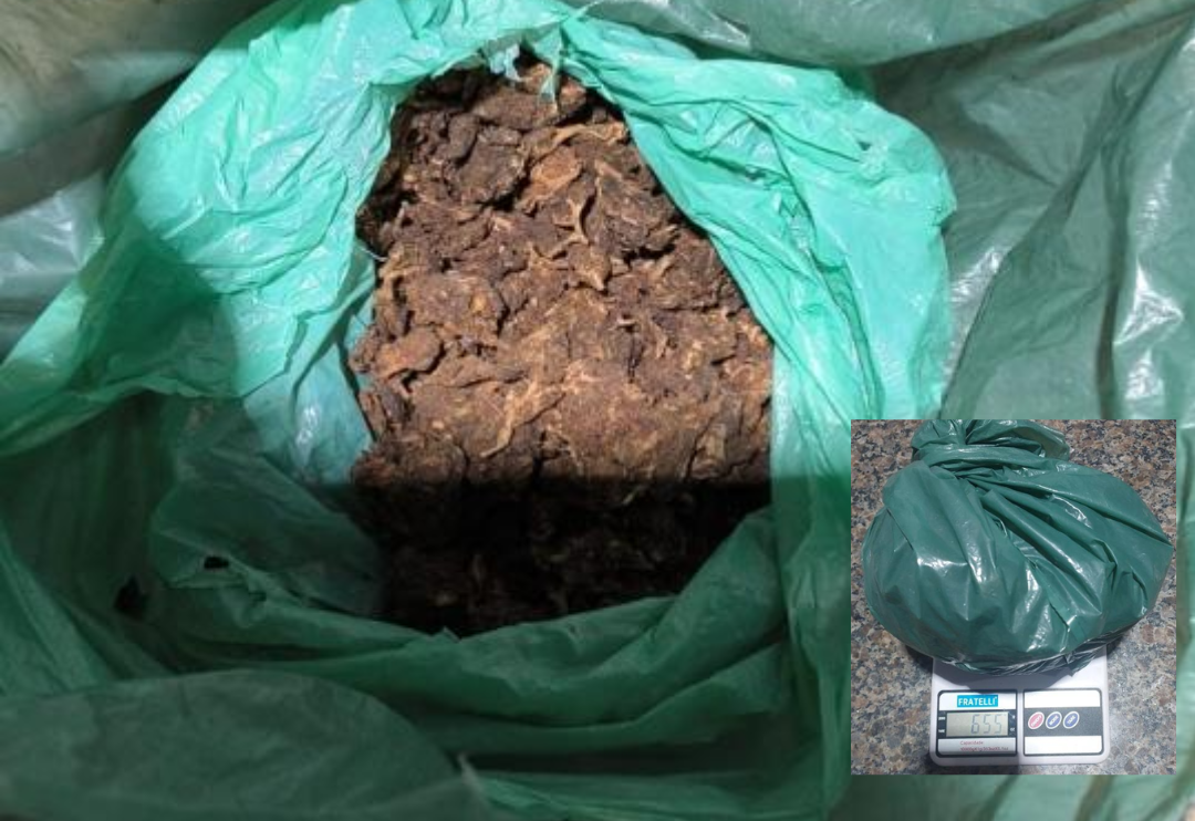 Polícia Militar apreende mais de 650 gramas de droga durante abordagem em Cacoal