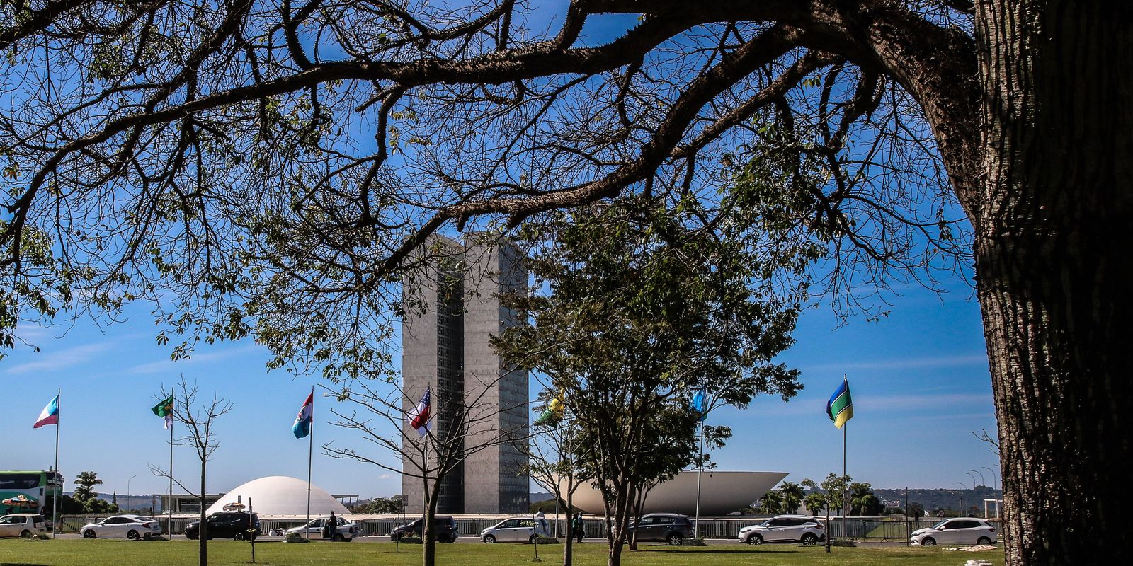 Congresso aumenta punição a crimes sexuais online contra crianças  