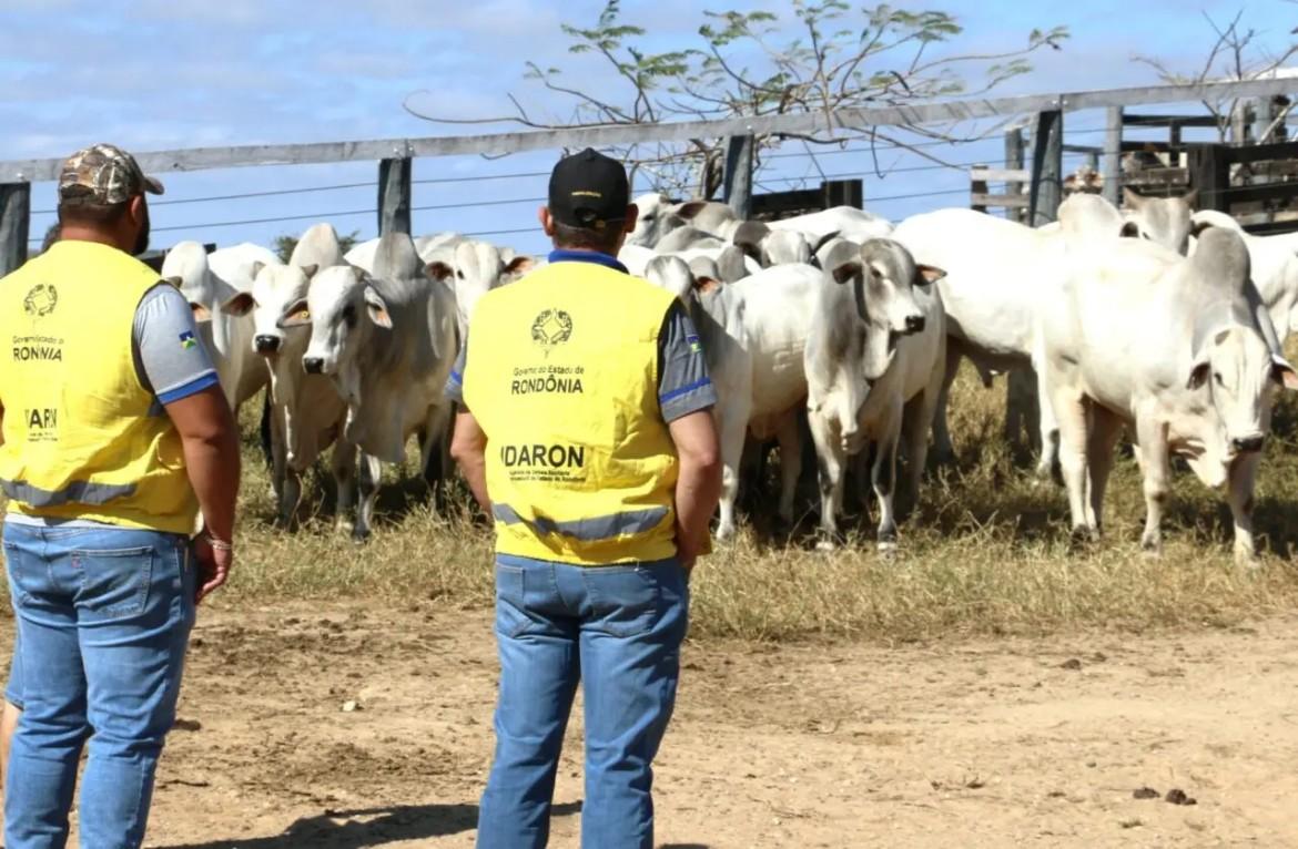 Governo retira R$ 11,8 milhões do Fundo de Defesa Sanitária Animal, não devolve recursos e preocupa setor produtivo