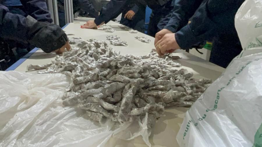 Homem é preso com quase 500 porções de maconha na zona leste de Porto Velho