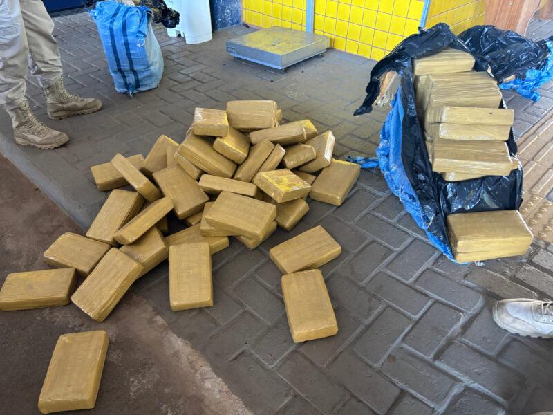 PRF em Rondônia apreende mais de 200 quilos de skunk escondidos em carga de paletes em Vilhena -