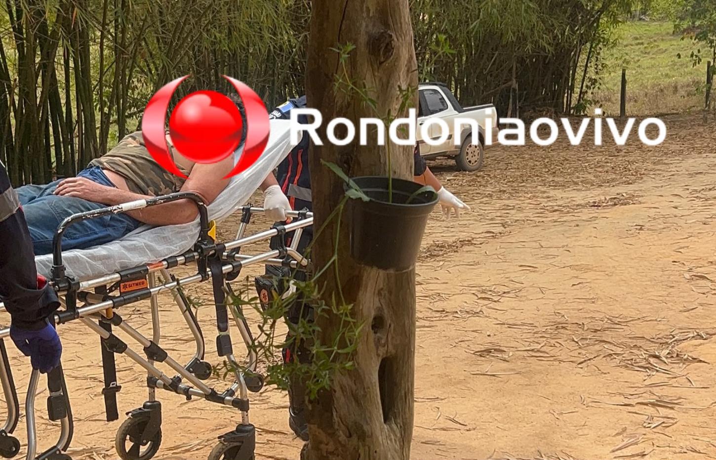 VÍDEO: Homem sobrevive a ataque de onça depois de égua ser morta