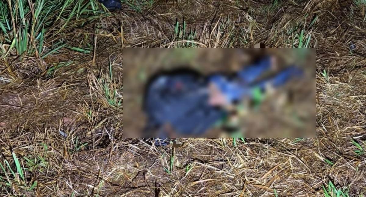 Motociclista morre depois de colisão traseira entre Honda Biz e caminhonete na BR-429