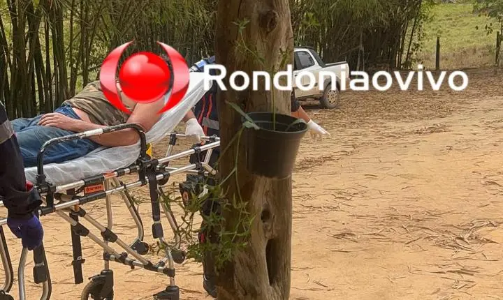 VÍDEO: Homem sobrevive a ataque de onça depois de égua ser morta